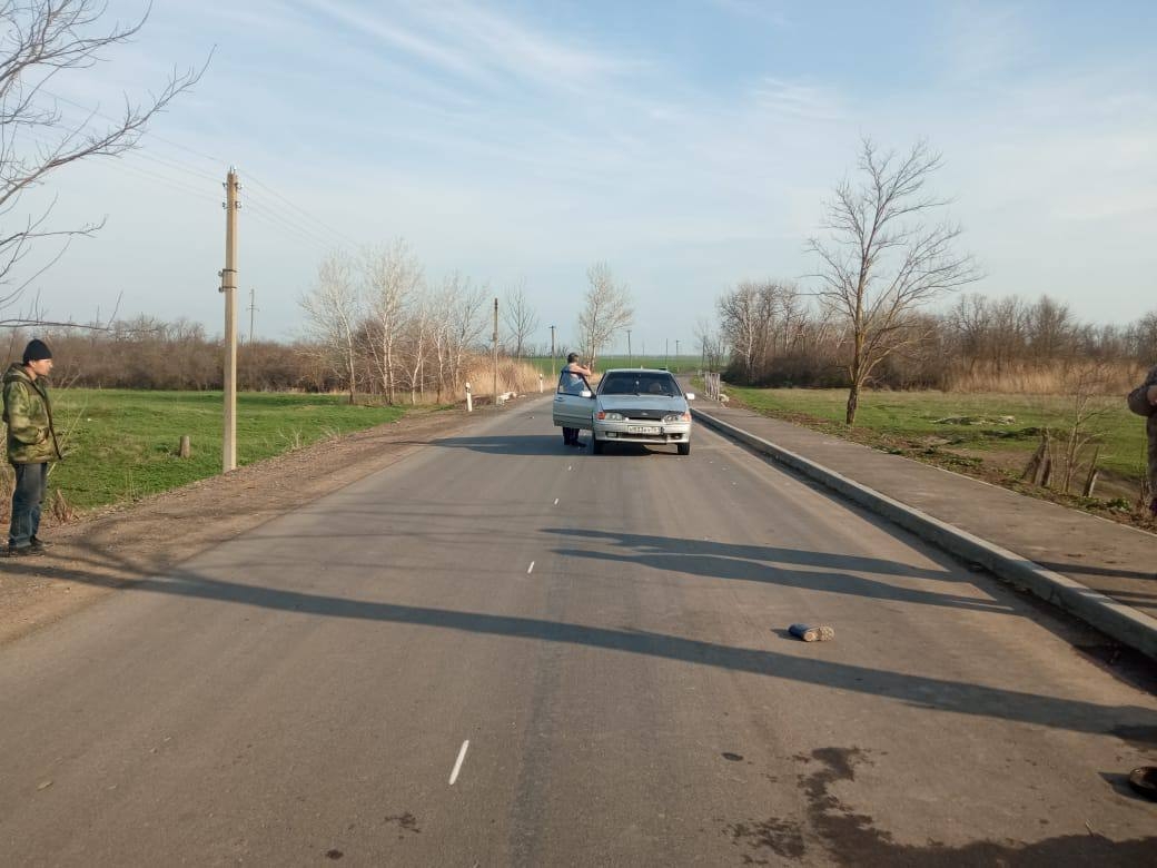 Перебегавший дорогу 6-летний ребенок попал под машину в Ростовской области