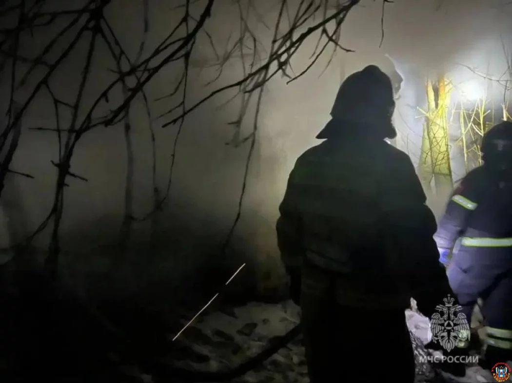 МЧС героически спасло домашних животных на двух крупных пожарах в Ростовской области