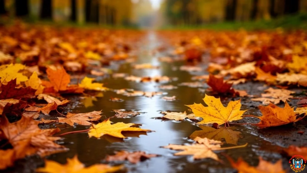 На 16 ноября в Ростовской области ожидается дождь и туман На 16 ноября в Ростовской области ожидается дождь и туман