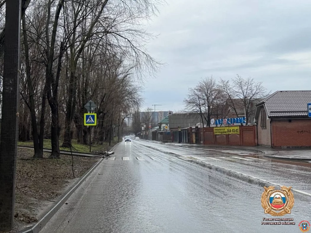 В Ростове водитель протаранил опору ЛЭП на улице Нансена: столб рухнул на проезжую часть В Ростове водитель протаранил опору ЛЭП на улице Нансена: столб рухнул на проезжую часть