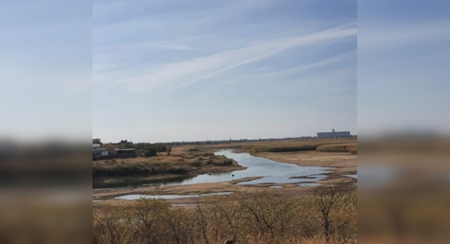 Местные жители заявили об экологической катастрофе на реке Маныч