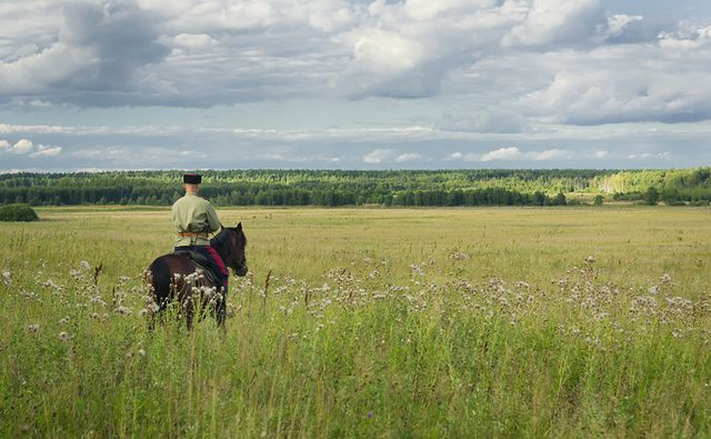 Часть земель, выданных казакам Ростовской области, могут вернуть муниципалитетам