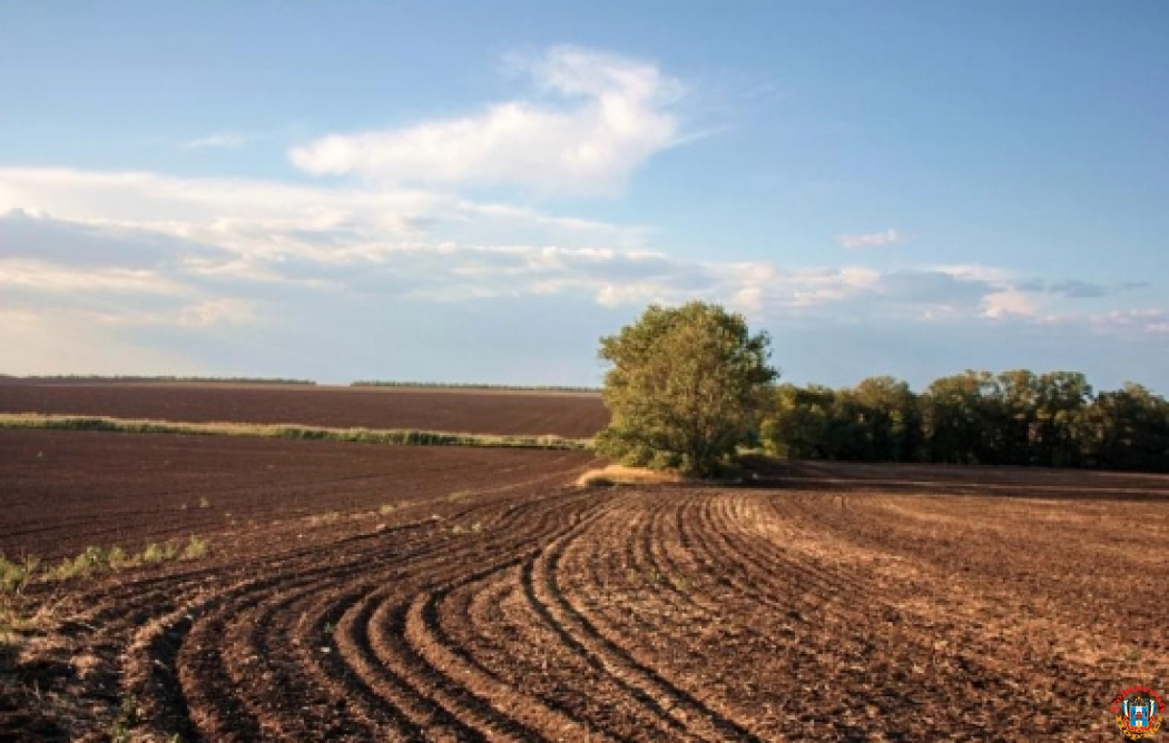 Компания экс-министра Ткачева выкупила земли ростовского агрохолдинга «Юг Руси»