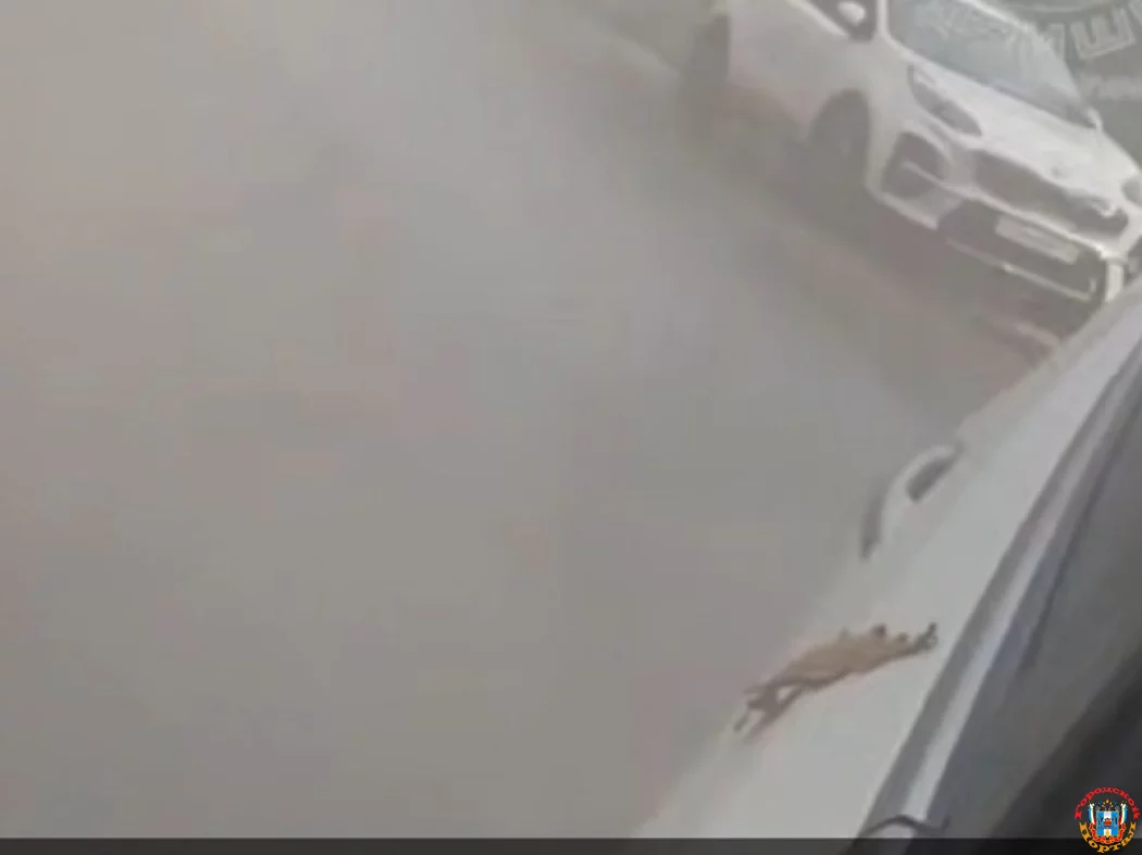 На Таганрогской из-под асфальта забил гейзер