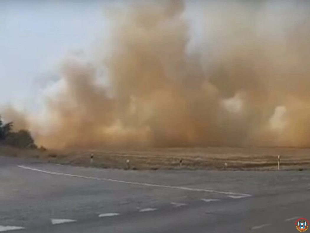 Под Белой Калитвой выгорело 700 квадратов сухой травы