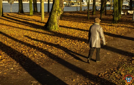 Снова потеплеет до +19 в Ростовской области