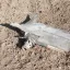 В Ростовской области после работы ПВО в поле нашли обломки 1