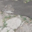 В Ростове в Военведе тротуар превратился в полосу препятствий 0