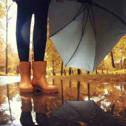 Выглянувшее из-за туч солнце пригреет ростовчан в первый выходной самой короткой рабочей недели ноября