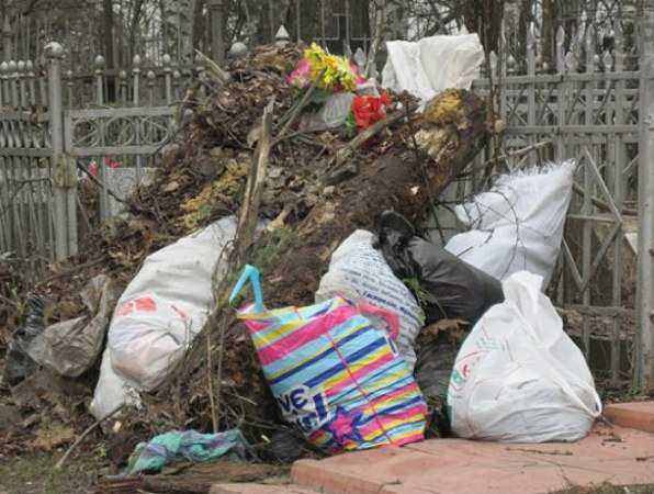 Заваленные мусором и сухостоем Александровское и Пролетарское кладбища шокировали проверяющих в Ростове