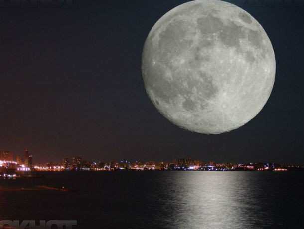 Космический вечер с «путешествием на Луну» проведут в публичной библиотеке для жителей Ростова