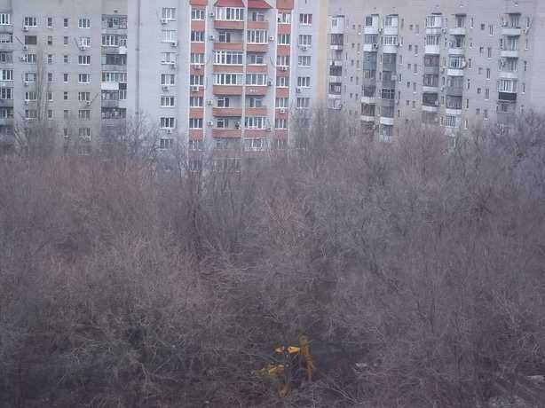 Жители Ростова в ужасе от вырубки красивой рощи ради строительства трех безликих многоэтажек