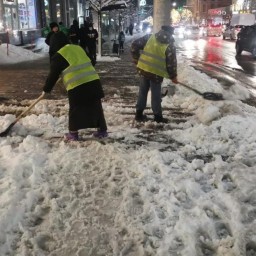 Власти Ростова-на-Дону отчитались об уборке улиц от снега