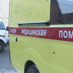 Покусанная собакой юная москвичка погибла, выпав из окна