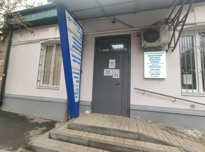 Главного ветеринара Ростова приговорили к 9 годам колонии строго режима