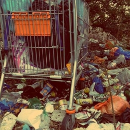 800 рублей за вывоз мусора: ростовчан возмутили цены на коммунальные услуги