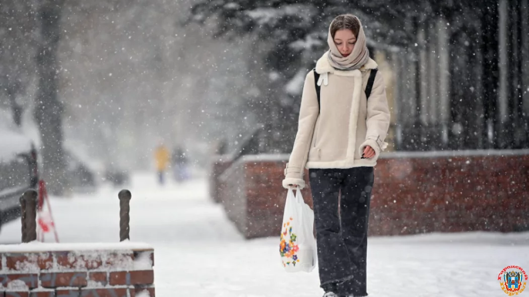 9 февраля Ростовскую область накроет снегопадом