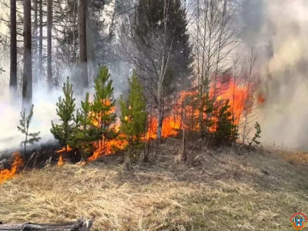 В Ростовской области жителей предупредили о чрезвычайной пожароопасности
