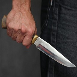 Ростовчанин пойдет под суд за пьяные игры с ножом рядом со школой
