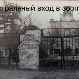 Ростовчане смогут узнать все тайны ростовского зоопарка в годы войны