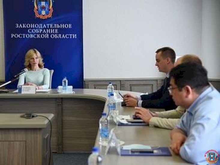 Донские парламентарии обсудили меры поддержки молодежных общественных организаций