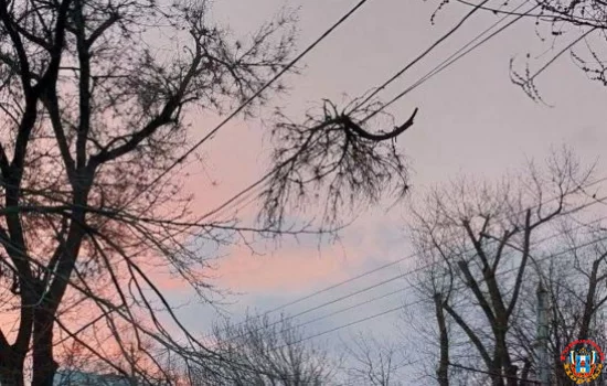 На проводах ЛЭП повисла ветка на Западном