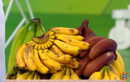 Вся правда о пользе бананов