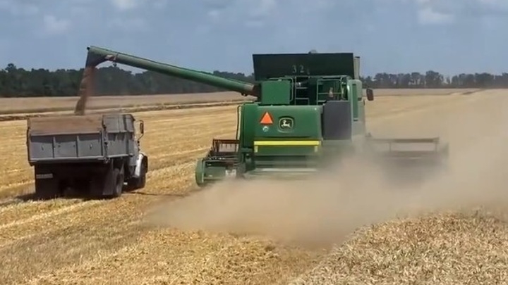 В Ростовской области в 2021 году собрали рекордный урожай зерна