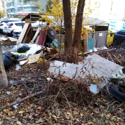 Ленинский район Ростова превратился в помойку