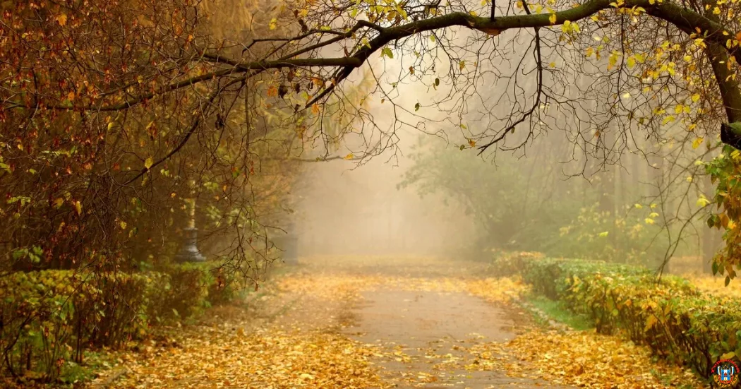 Прогноз погоды на 7 декабря 2025 года в Ростовской области