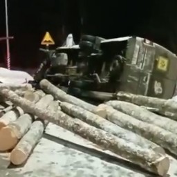 Под Ярославлем перевернулся автобус с детьми, пострадали 13 человек