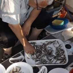 В Ростовской области в Дону стало меньше новой рыбы