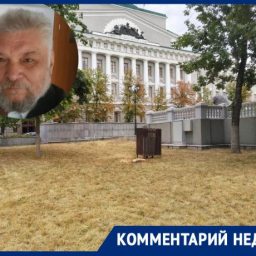 «Полмиллиарда для Ростова – это туфта, пыль в глаза»: эксперт раскритиковал сумму, выделяемую мэрией на озеленение города