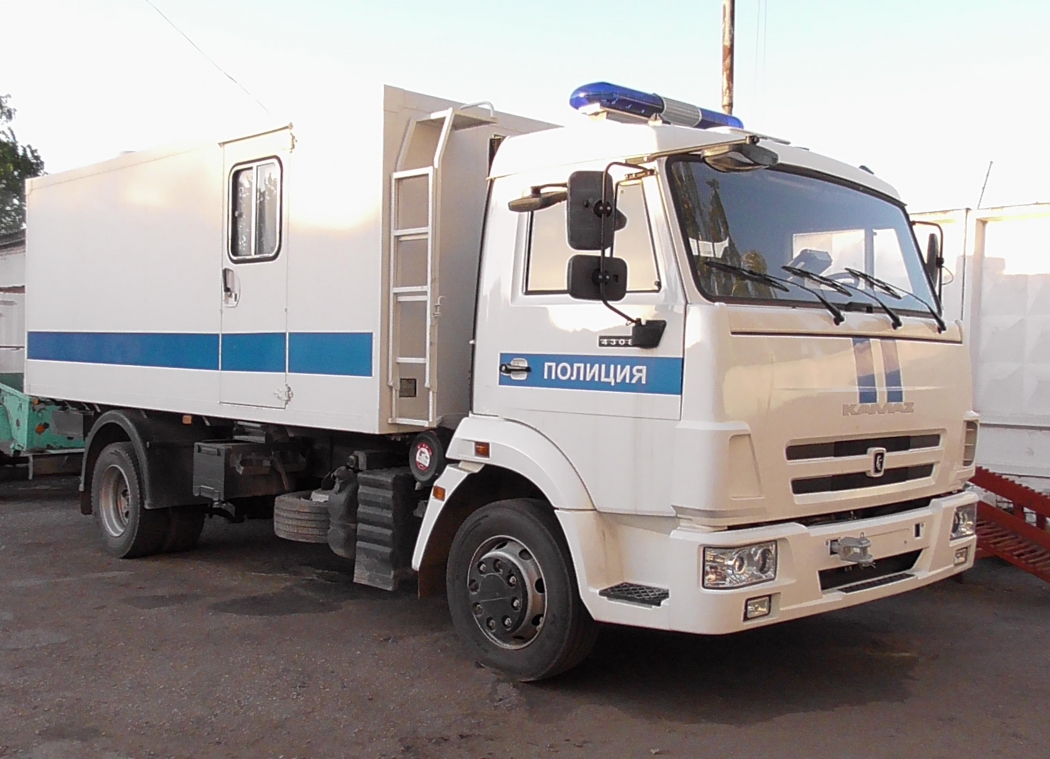 Власти Ростовской области потратят 19 млн рублей на покупку трех автозаков