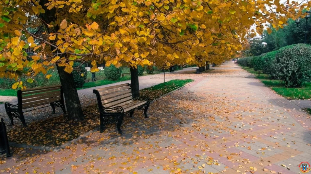 Погода на 21 ноября в Ростове и области: Тепло и малооблачно