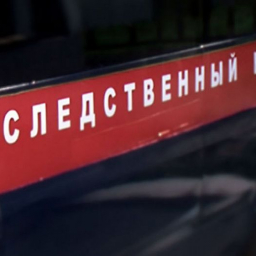 СК проведет проверку в Шахтах по факту отравления жителей роллами