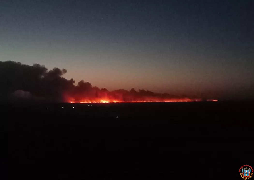 В Каменском районе площадь лесного пожара достигла порядка 200 гектар