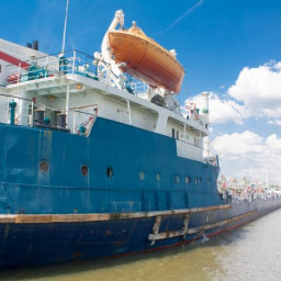 Директору судоходной компании «Палмали» за махинации с налогами грозит крупный срок