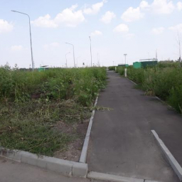 Содержание нового городского кладбища Ростова обойдется в 4,5 млн рублей