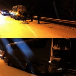 На Дону рейсовый автобус попал в ДТП из-за собаки, выбежавшей на дорогу
