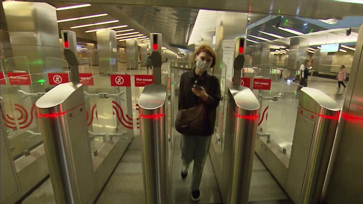 Разгуливавшие по путям пассажиры остановили поезд столичного метро