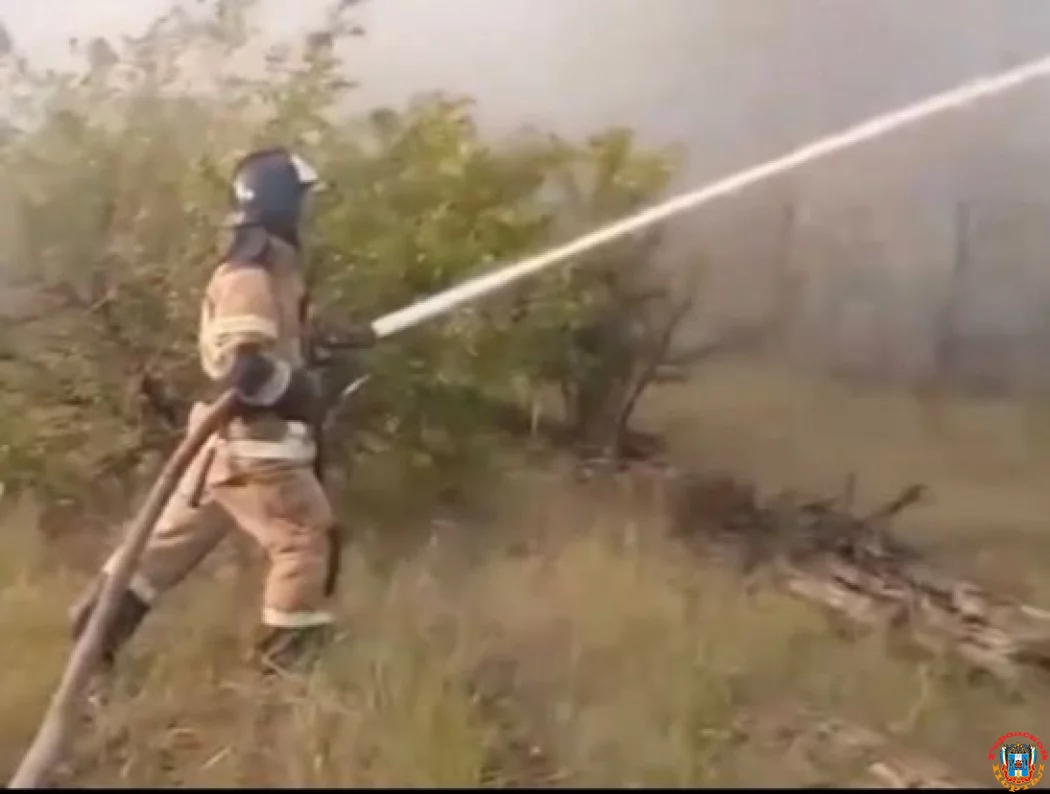 До 117 гектаров увеличилась площадь лесного пожара в Ростовской области