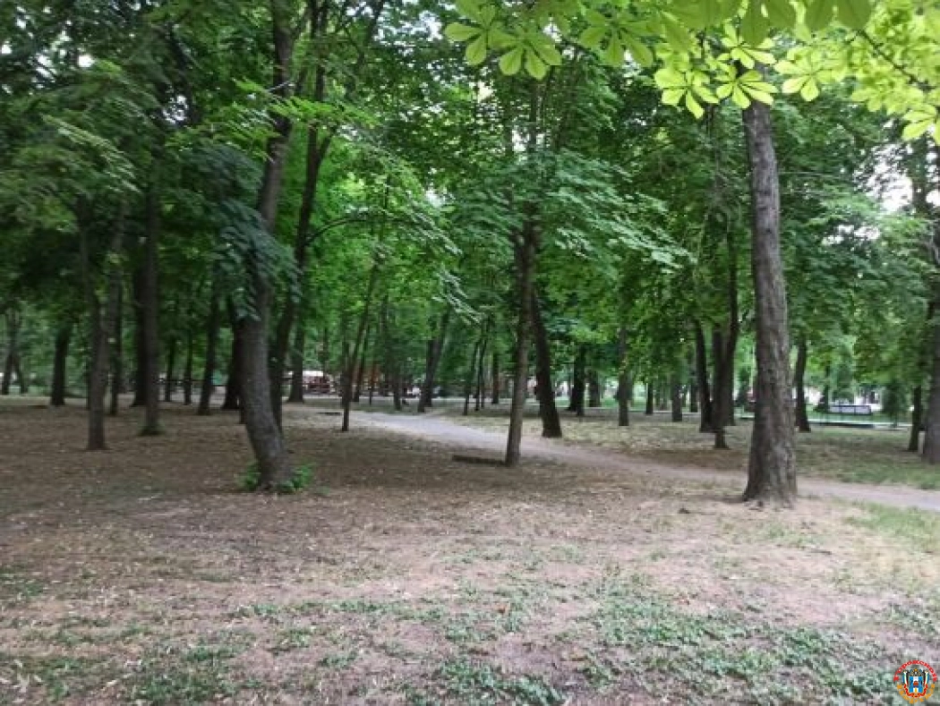 В двух парках Ростова объявили карантин из-за клопов