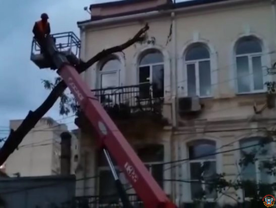 В Ростове упавшее из-за ветра дерево оборвало провода рядом с ГУФСИН