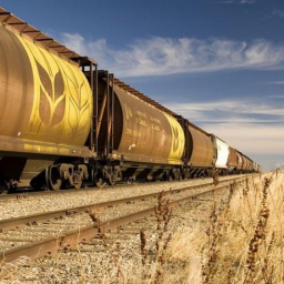 Ростовские экспортеры зерна объединились в союз