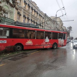 В Ростове троллейбус вылетел на клумбу на Большой Садовой.