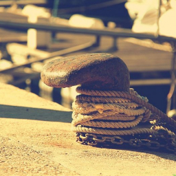 Судовладелец задержанного в Ростове теплохода «Восток» полностью расплатился с моряками