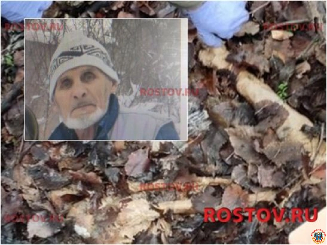 В Ростовской области нашли останки пенсионера, пропавшего почти год назад