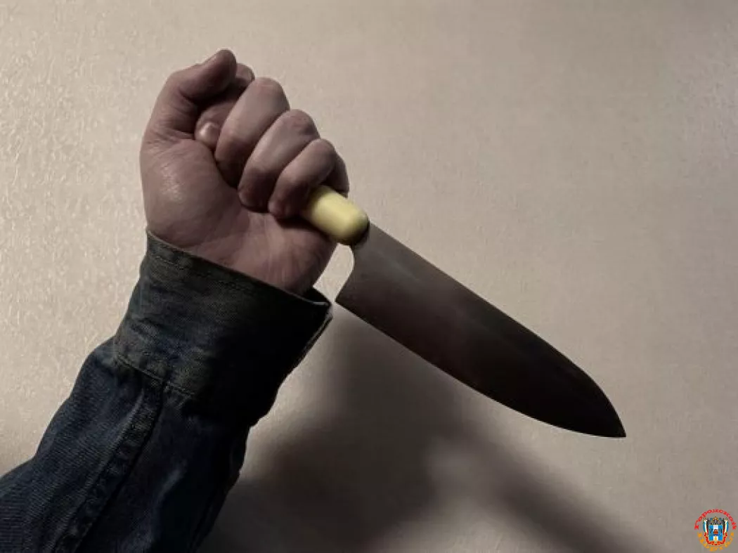 В Ростовской области осудили работника фермы, ударившего коллегу ножом
