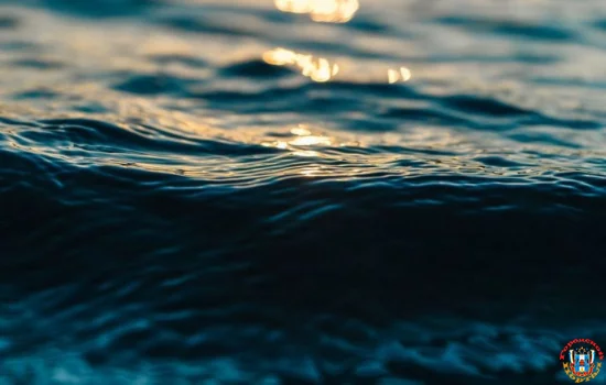 Более 17 км реки Быстрой расчистят в Ростовской области